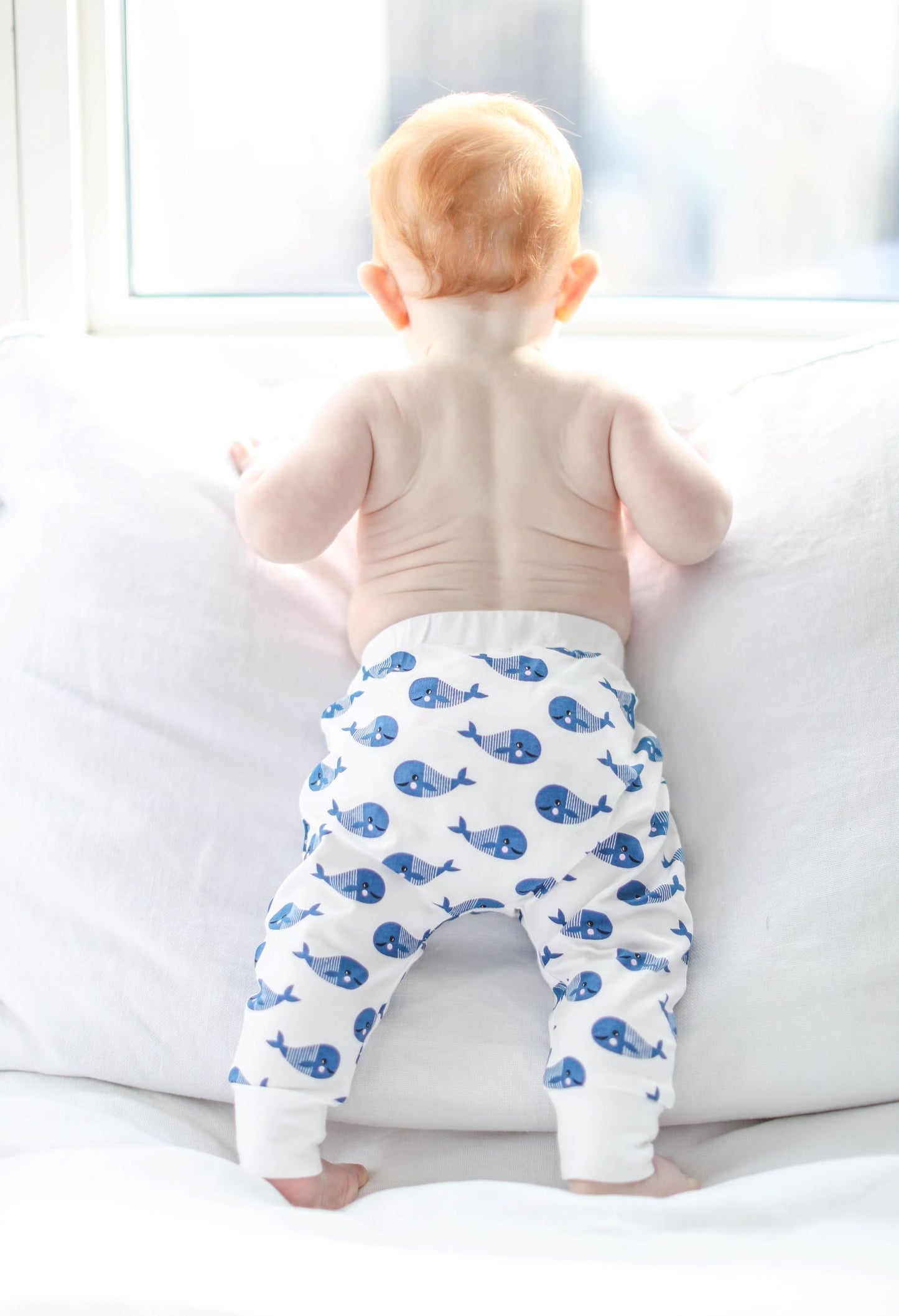 Boo Boo Harem Pants - Blue Whale - GOTS certified